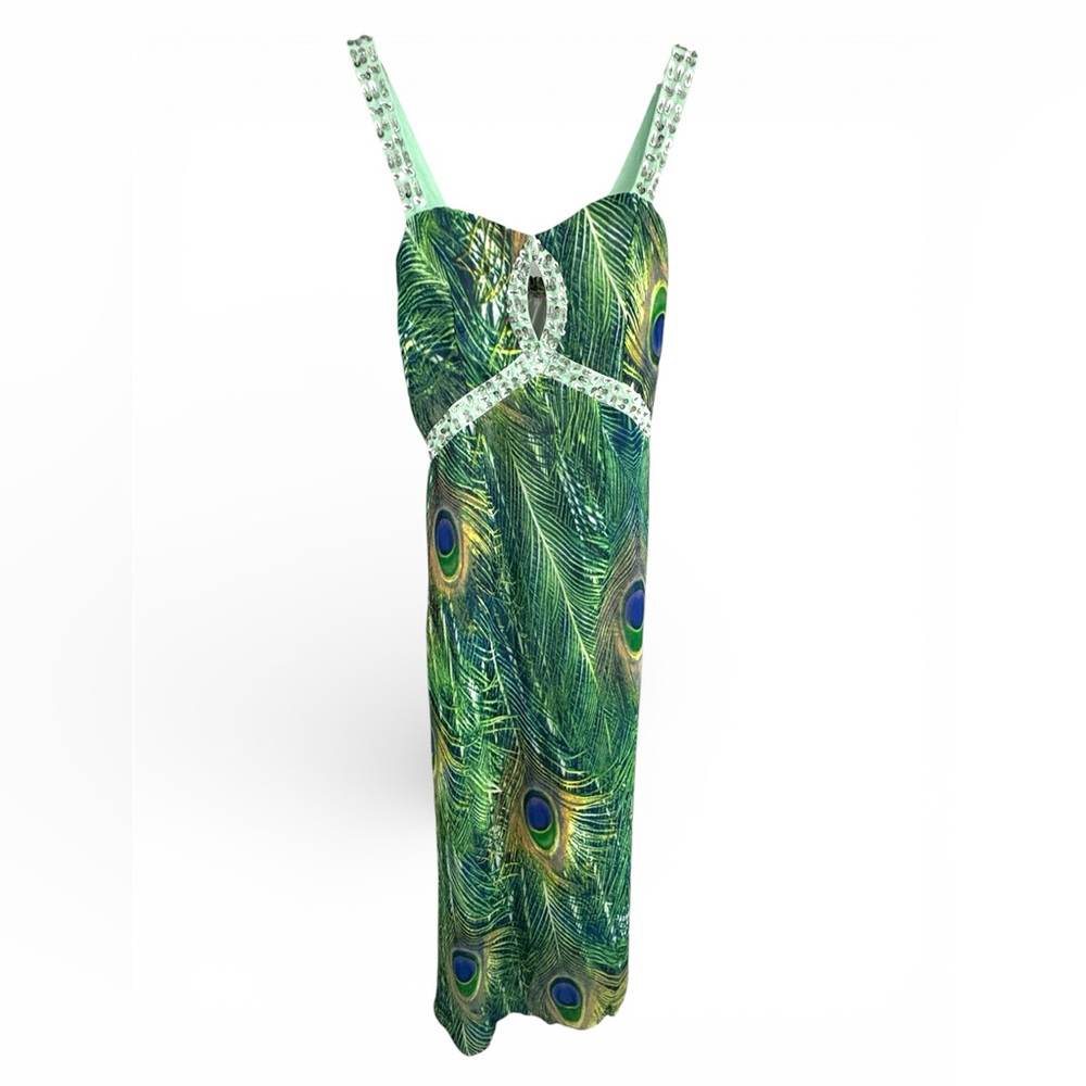 Elegant Green and Blue Maxi Dress with peacock Theme